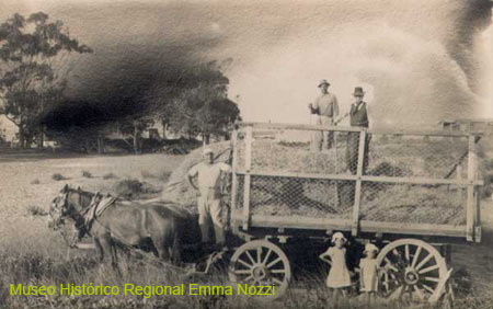 Carro-para-cargar-pasto