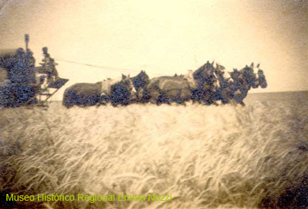 Cosechadora-tirada-a-caball