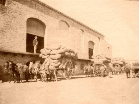 carretas-en-Barranca-Sassen